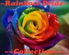 ~Rainbow Pride~ Dice