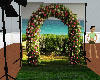 Arch of Roses Backdrop