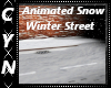 Ani Snow Winter Street