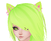 Watermelon Cat Ears