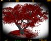 Red Blood Tree