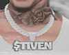 A. Custom $tiven