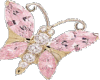 HW:12  Pink Butterfly
