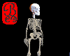 Flaming head skeleton M