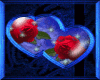 red roses in blue hearts