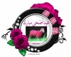 Eid Alad7a