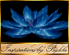 I~Spirit Lotus Blossom