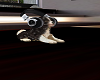 PUPPY RADIO