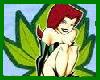 mini poison ivy stickerx