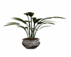 Gray tile potted plant