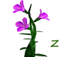 zzan's floating flower