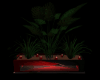 Dark Tro Plants Box Set