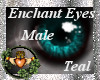 ~QI~ Enchant Eyes T M