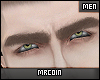 🔻Kurt Eyebrow MH