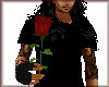 Valentine Magic Rose