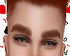 ʝρ- Brows Ginger