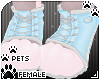 [Pets] Sneakers | Sky