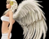 [MTOP]]Angel Wings White