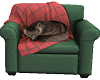 Cozy Cat Chair