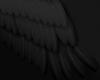 Basic Black wings