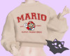 ☽ Mario Sweater