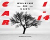 Speeding Cars-Walking 