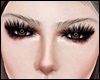 Eyebrows ❭ Brown MH