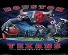 OA_Houston Texans