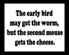 early bird, late mouse