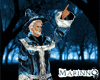 Merlin's Robe