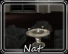 NT Everytime Chair Set