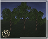 ℳ▸ Park Trees
