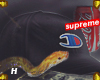 $"Champion hat Blvck