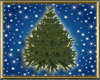blue spruce christmastre