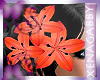 Summer Lily R&L
