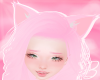 B|PinkiePie Kitty Ears