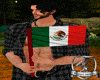 Bandera de mano México