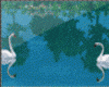 Kawaii Swans Animated