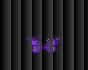 *Butterfly Eyes*purple