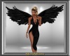 Anim Black Angel Wings