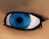 Blue Male Eyes w/ white