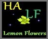[HA]Lemon Flowers