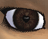 Devil~BrownHeart Eyes