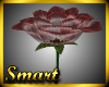 SM Love Red Rose