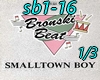 sb1-16 smalltown boy1