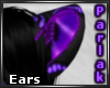 [K] Parlak Ears 1