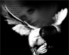 Capture Angel