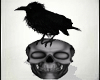 Crow and Skull Dark
