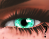S- Aqua Eye F
