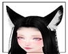 (OM) Cat Ears Bunny's